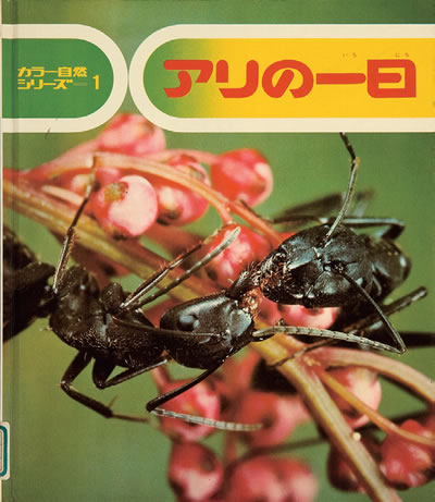Exhibit Materials of アリの一日（Japan）