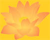 蓮の花の知恵 −インドの児童文学 Wisdom of the lotus- Children's literature in India