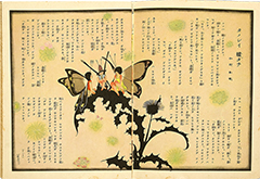 Thumbnail of <i>Tanoshii chotachi</i>[The happy butterflies]