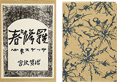 Thumbnail of Haru to Shura: Shinsho suketchi [Spring and Asura: Poems of Kenji Miyazawa]