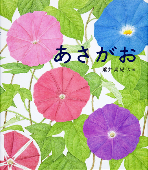 Exhibit Materials of Asagao [Morning Glory]