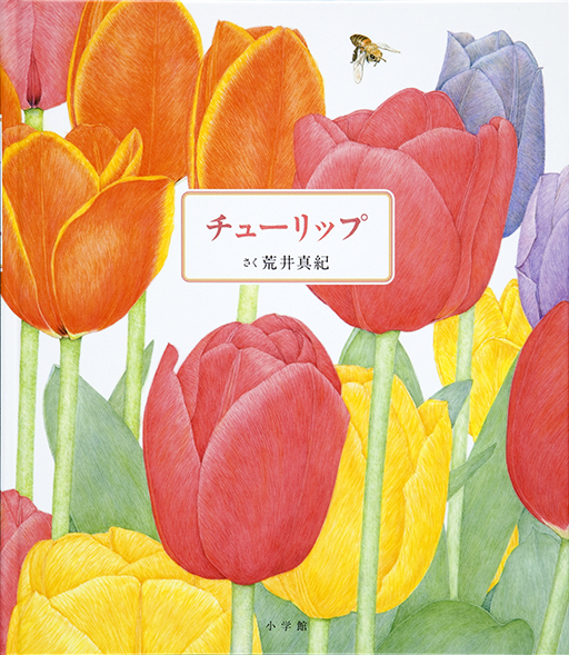 Exhibit Materials of Churippu [Tulip]