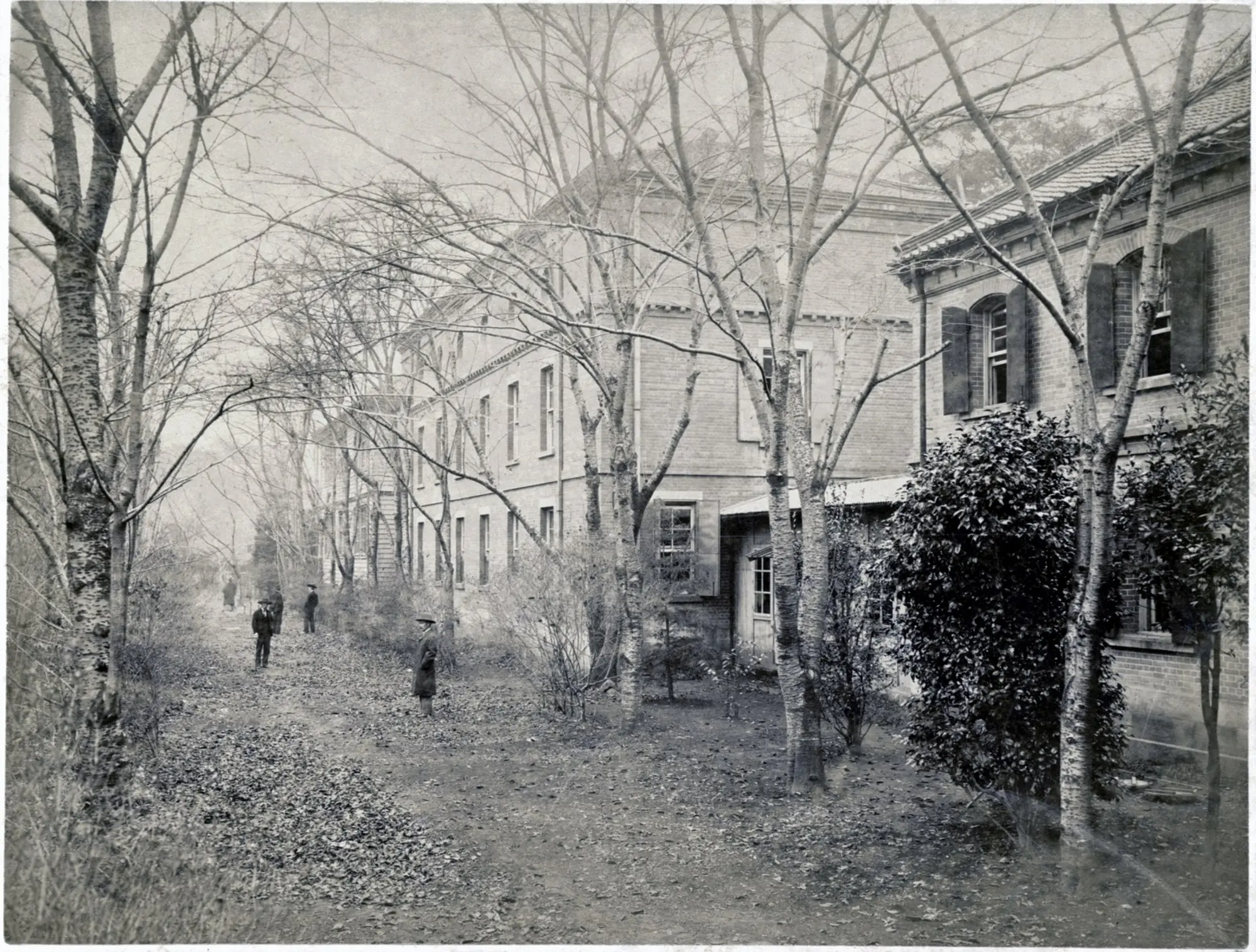 拡大画像へのリンク