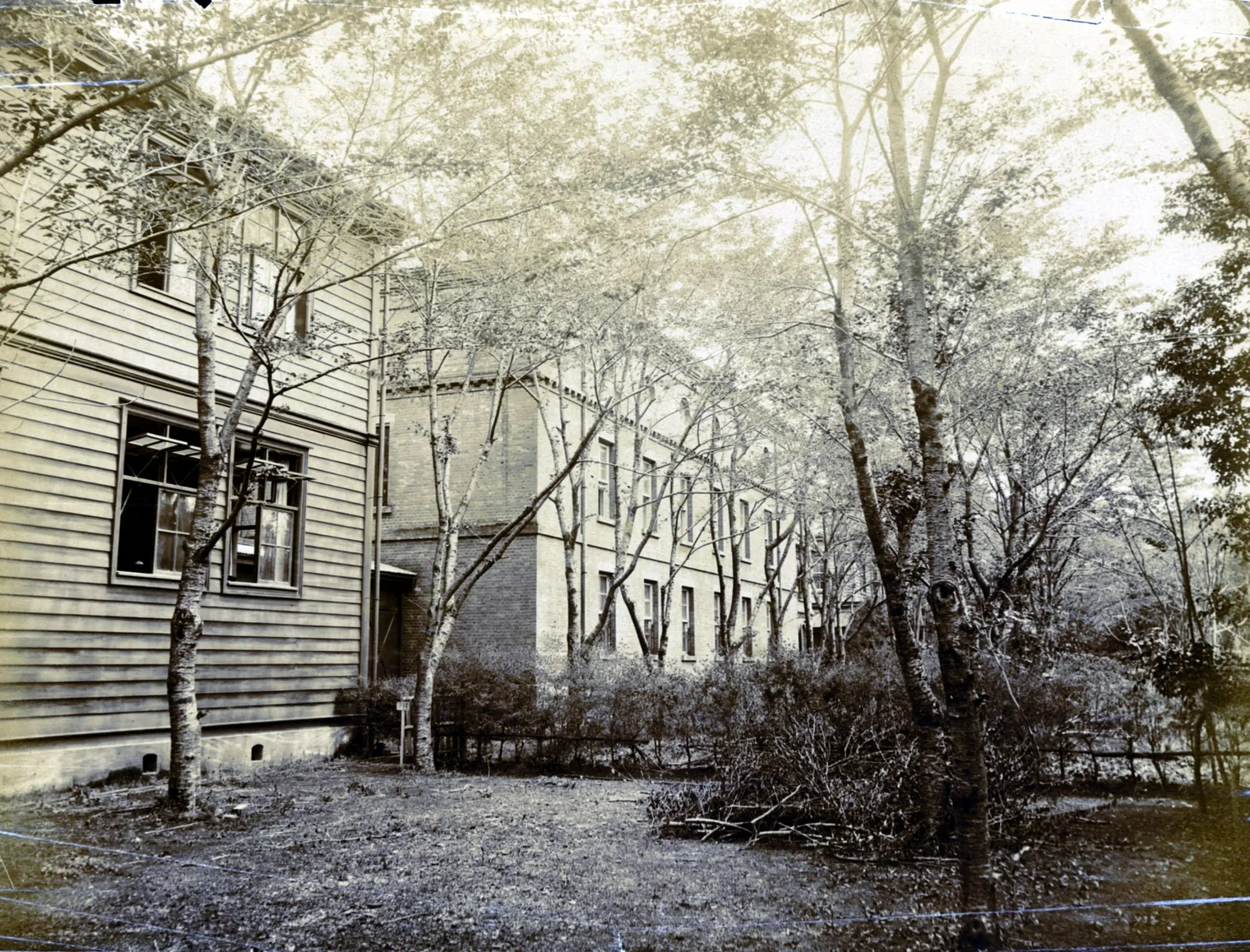 拡大画像へのリンク