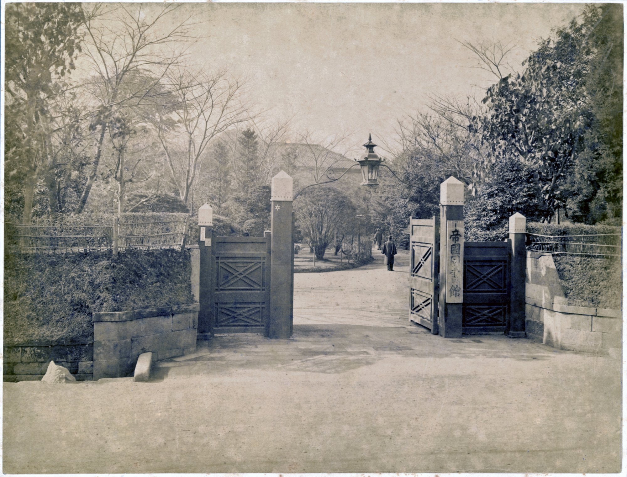 拡大画像へのリンク