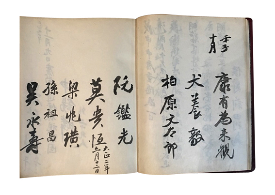 拡大画像へのリンク