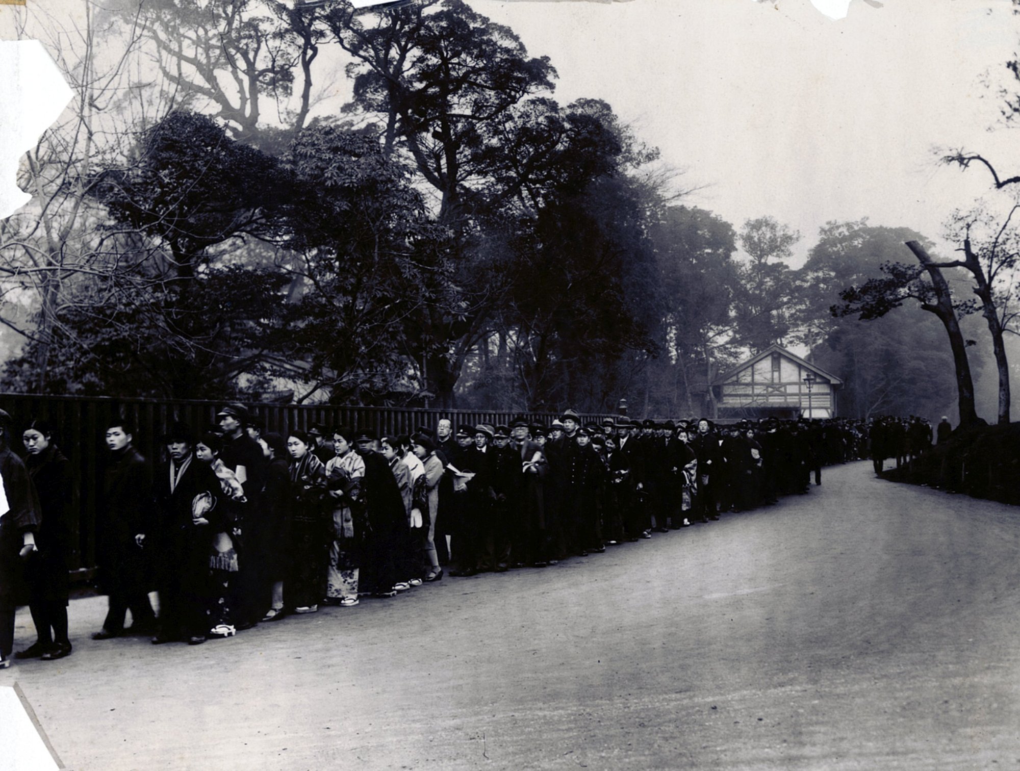 拡大画像へのリンク