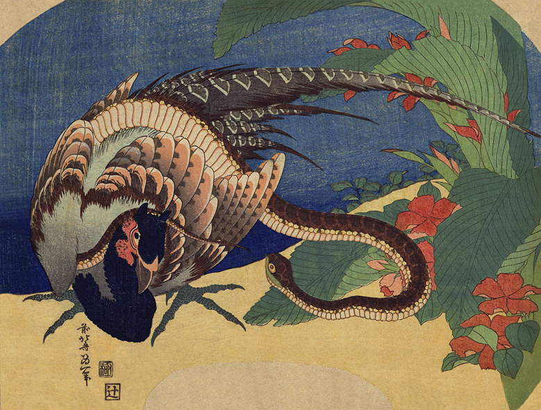 A pheasant is depicted in an idiosyncratic style.