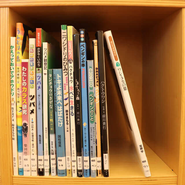 国際子ども図書館の子どものへやのNDC488の書架の写真