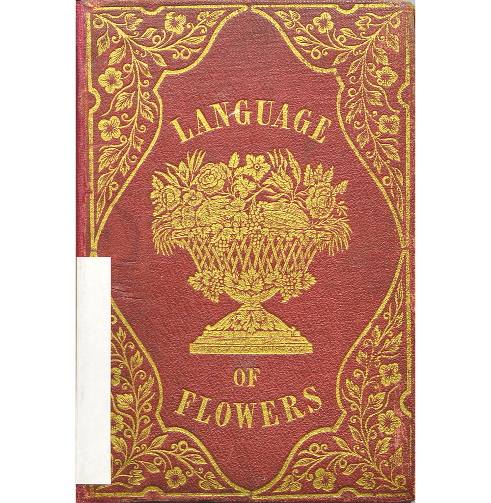 Exhibit Materials of The language of flowers, and alphabet of floral emblems