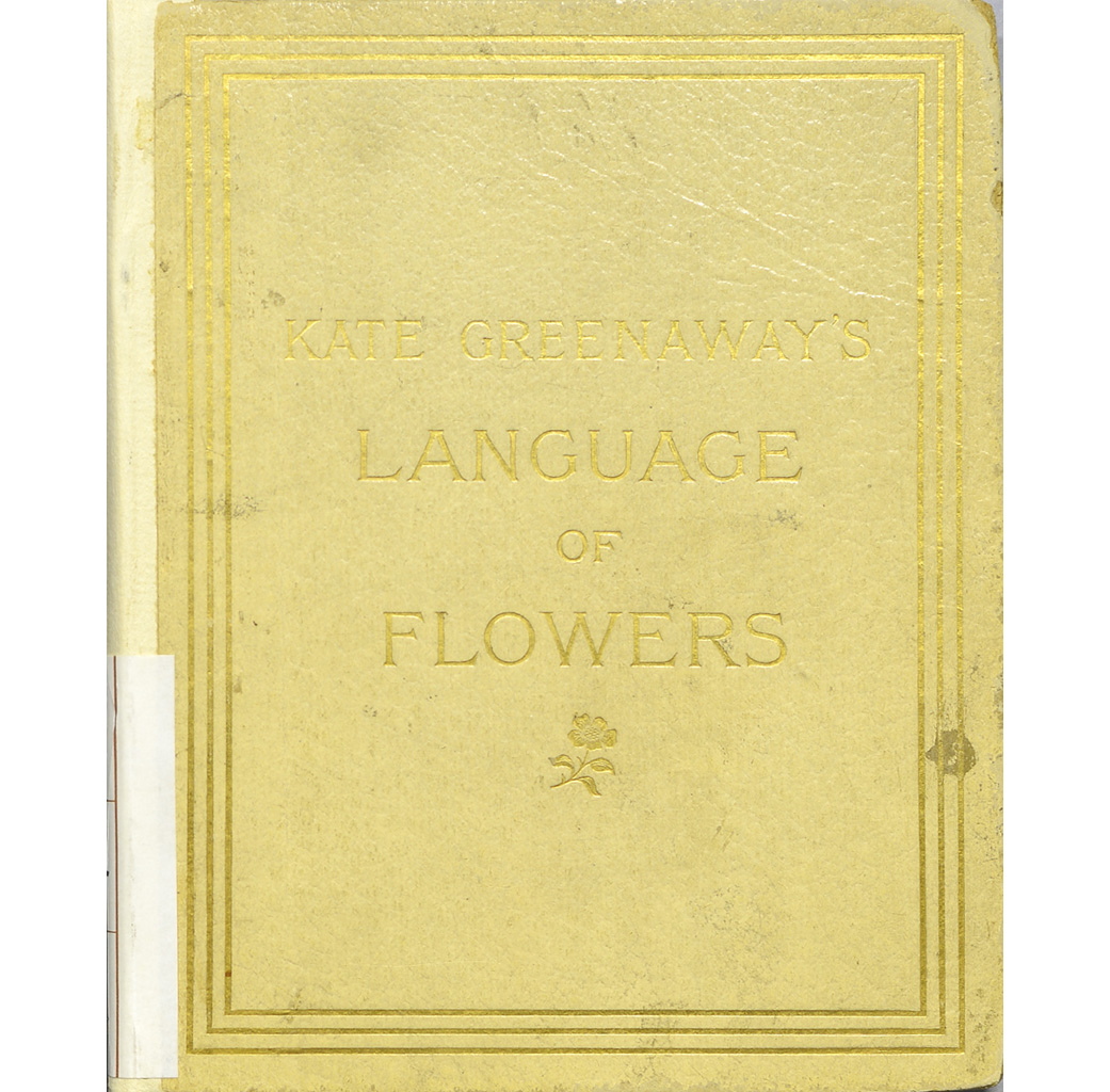 Exhibit Materials of Language of flowers